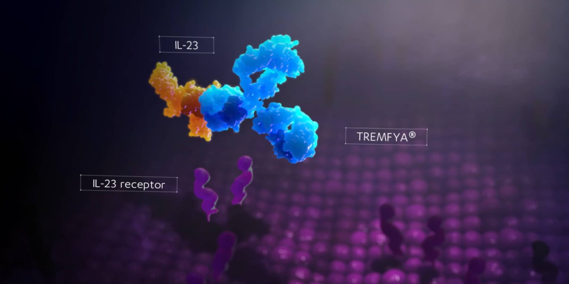 Medical and scientific visualization for research projects